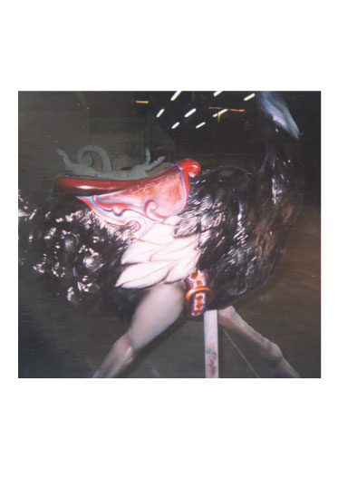 thumb_Carousel Animals
